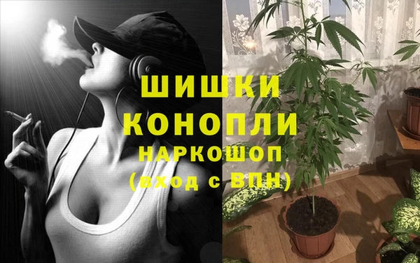МДПВ Горнозаводск