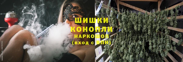 mdpv Горно-Алтайск