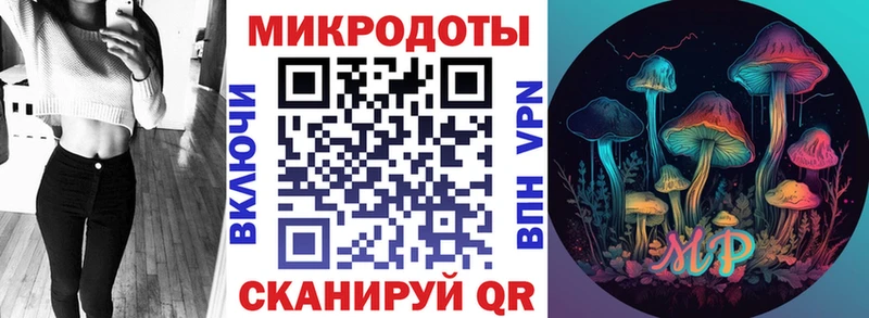 Псилоцибиновые грибы Psilocybe  Купить где  Кирсанов 